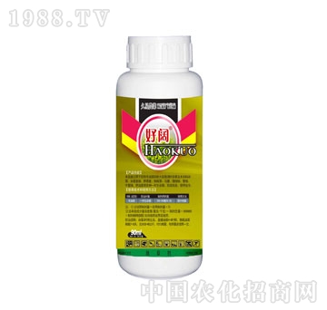 ����-���