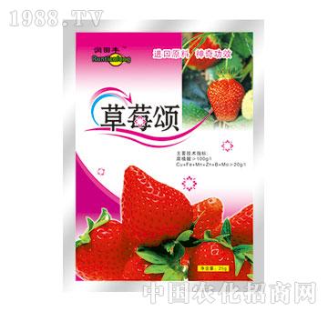 ����-��ݮ�