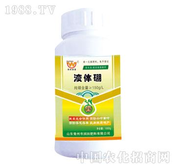 ����-Һ�w��