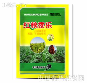 ������������݄�