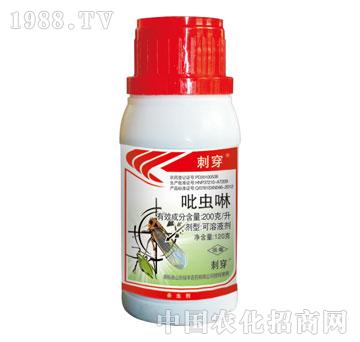 �G�S-�̴�-���x(ch��ng)��