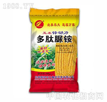 �����\��(d��ng)��-�������@-�����r(n��ng)��