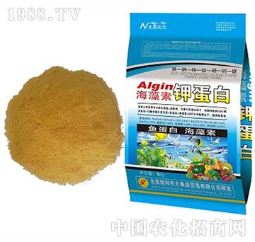 ������⛵���-�����r��