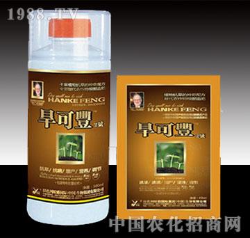 �����S2̖�V�V