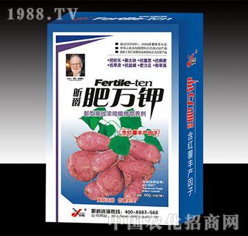 ���f⛼t�����b