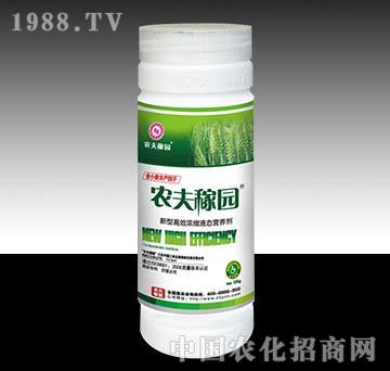 �r��ڈ@_��С����