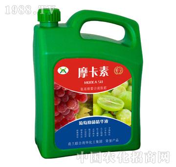 �����־����AҺ-Ħ����-��(qi��ng)о���H