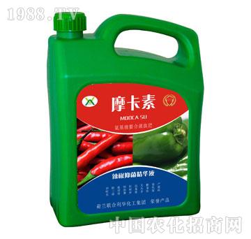 �����־����AҺ-Ħ����-��о���H