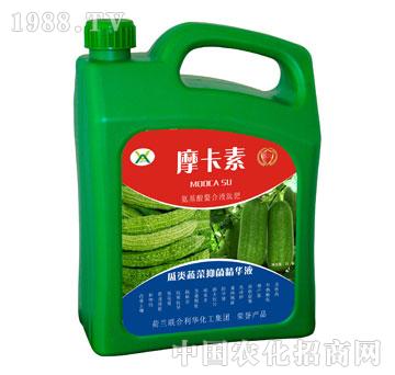 ����߲��־����AҺ-Ħ����-��о���H