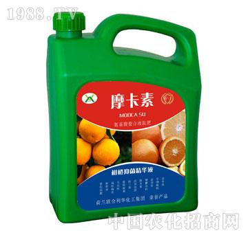 �̳��־����AҺ-Ħ����-��о���H