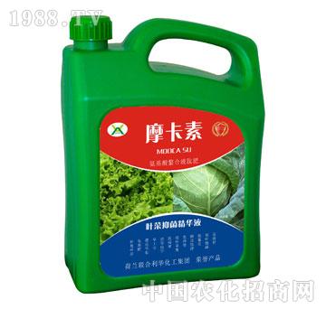 �~���־����AҺ-Ħ����-��о���H