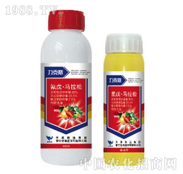 30%�����R����-����˹-���{(l��n)