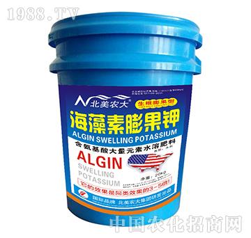 ����������-�����r��