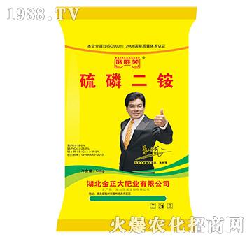 ������@-����P-ïʢ