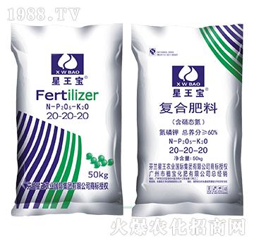 �����B(t��i)����(f��)�Ϸ���20-20-20-������-ֲ������