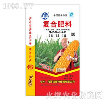 ���\���׌�(zhu��n)�Ï�(f��)�Ϸ�26-12-18-������