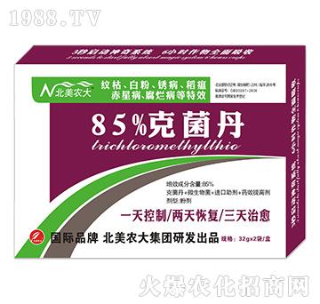 85%�˾���-�����r��