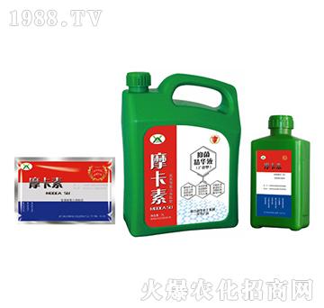 �V�V���־����AҺ���M�ϣ�-Ħ����-��(qi��ng)о���H