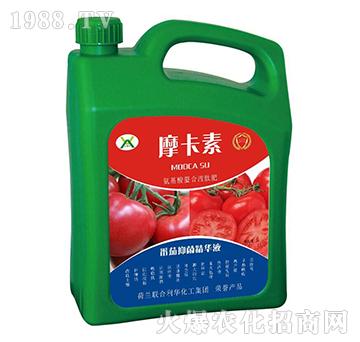 �����־����AҺ-Ħ����-��о���H