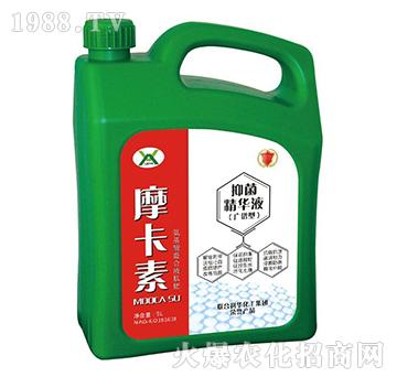 �־����AҺ���V�V�ͣ�-Ħ����-��о���H