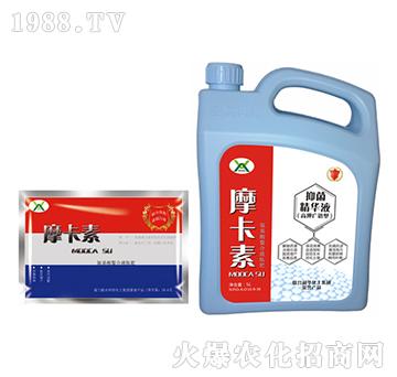 ����־����AҺ���ؼӴ���-Ħ����-��о���H