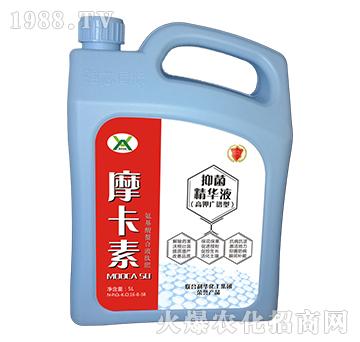 ����־����AҺ���V�V�ͣ�-Ħ����-��о���H