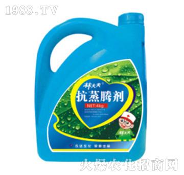 �ִ�����v��-�r(n��ng)�_����