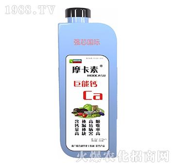 �����}-Ħ����-��о���H