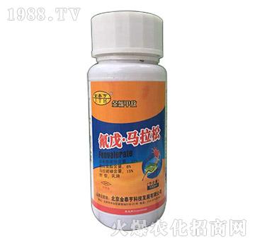 21%�����R����-���h�ה�-��̩��