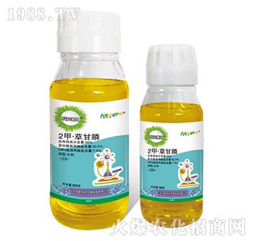 50%2�ס��ݸ��-���r����-���¿��r