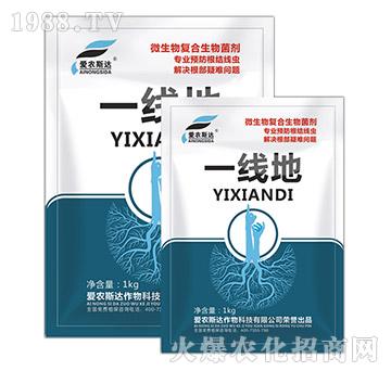 ΢�����(f��)�Ϸ��������-һ��(xi��n)��-��(��i)�r(n��ng)˹�_(d��)