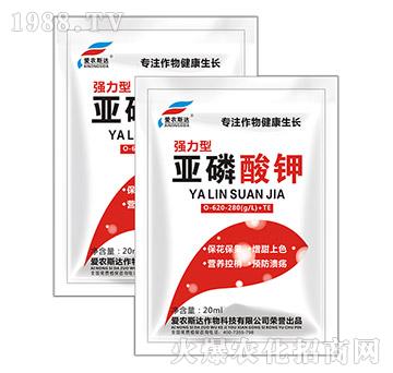 ������⛣�����-���r˹�_