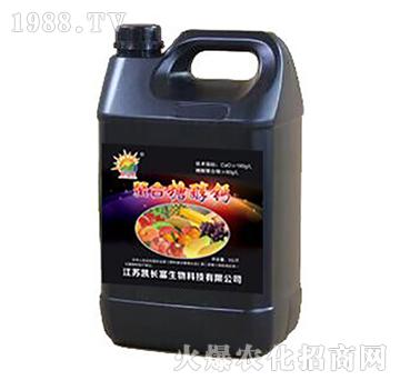 �����Ǵ��}���أ�-�P�L(zh��ng)��