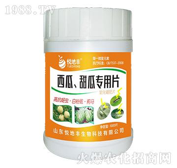 ��������ό���Ƭ��һ��һƬ��-�����S