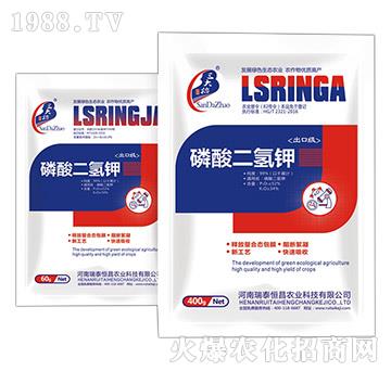 ��������-��̩���