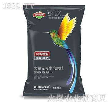 �Ҹ������ʹ���Ԫ��ˮ�ܷ���NPK170-170-170+TE-�Ԡ���(gu��)�H