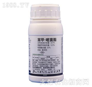 32.5%���ס��׾���-�̩