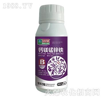 �}�V�i�\�F-���S�f¡