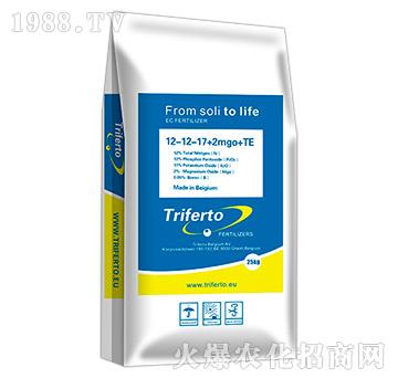 ԭ�b�M�ڸߝ�ȏ�(f��)�Ϸ�12-12-17+2mgo+TE-���\