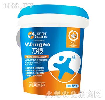 ����������΢�������-�f��-ϲ�m��