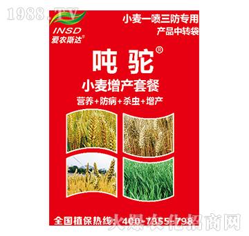 С�����a(ch��n)�ײ�-���-���r(n��ng)˹�_