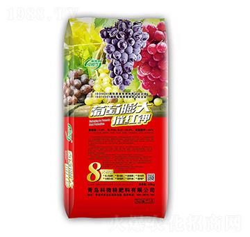 �������߼t�-��΢��