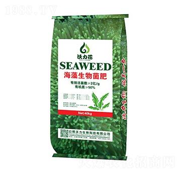 ����΢������ʣ�2�|��-������-��������