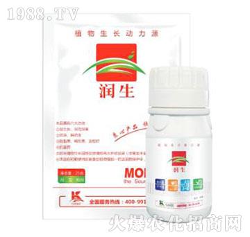 ֲ�����L(zh��ng)��(d��ng)��Դ-��(r��n)��-����ֲ��