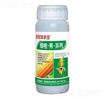 42%���ס�ݬ������-�滯�⚢��-�滯���h