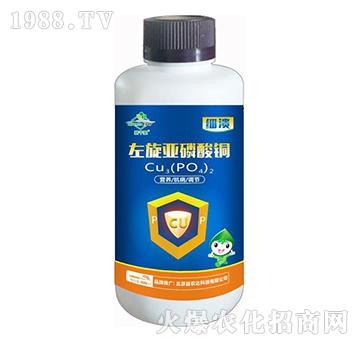 �����������~-���r�_