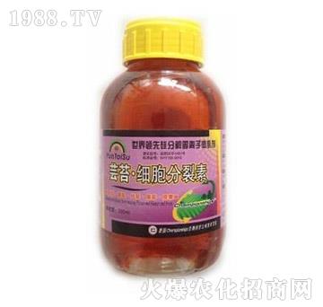 �|̦��(x��)��������-� �����