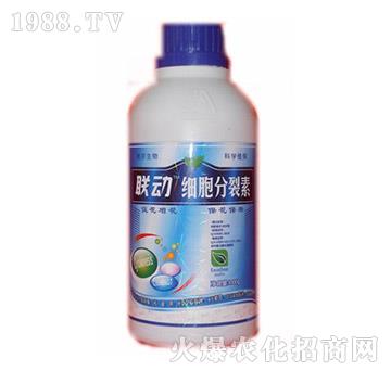 ��(x��)��������-(li��n)��(d��ng)-� �����