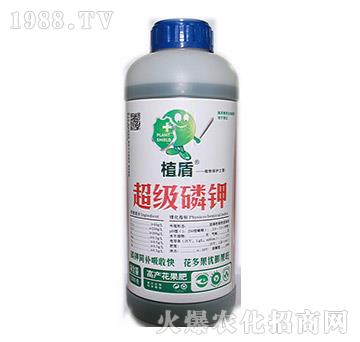 ����(j��)���-ֲ��-��?t��ng)����? width=