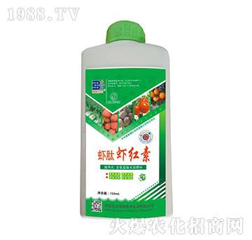 �r���r�t���~���-��̩����